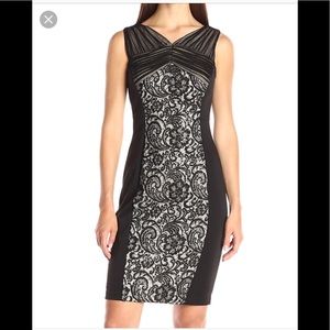NWT JAX Black & Nude Lace Dress